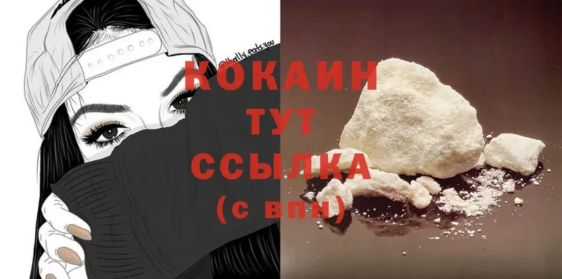 MEGA как войти  Жуковка  Cocaine Fish Scale  дарнет шоп 